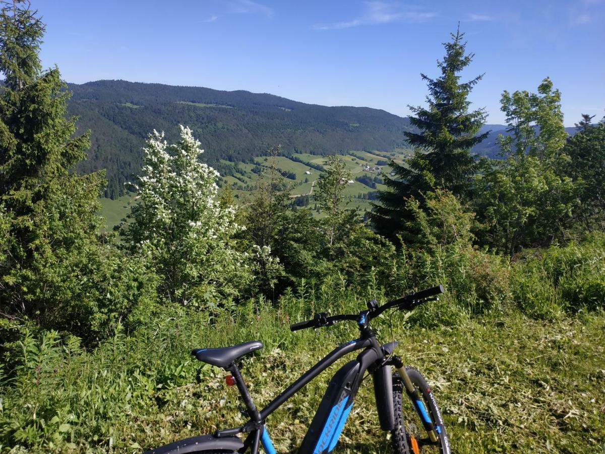 Les Chamois Apartamento Lajoux Exterior foto