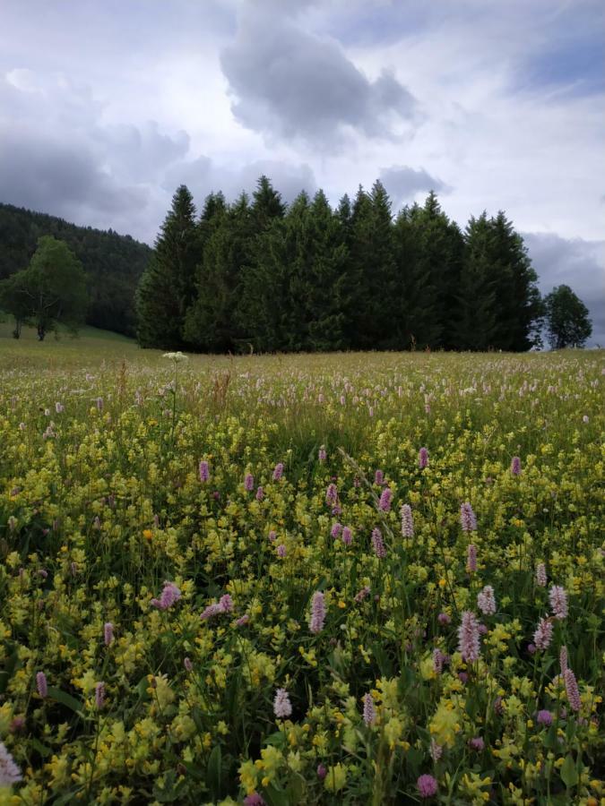 Les Chamois Apartamento Lajoux Exterior foto